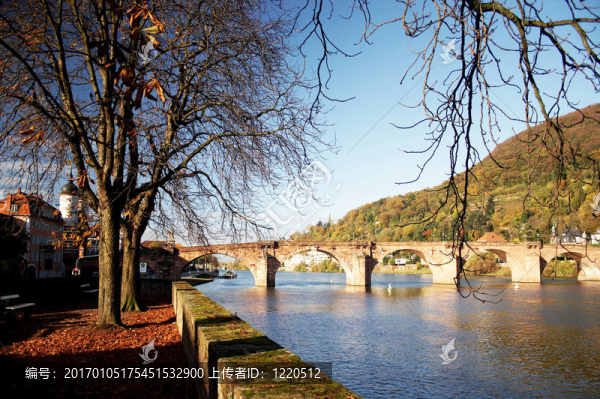 橋