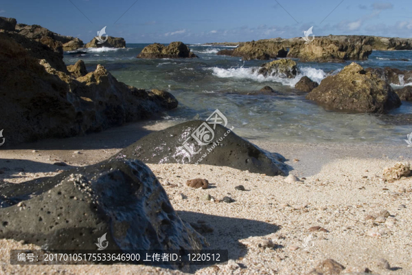 鯊魚(yú)灣2