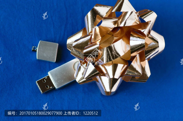 USB禮品