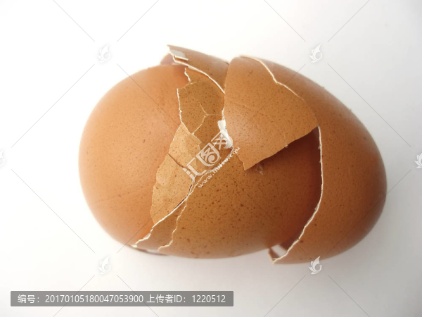 雞蛋殼