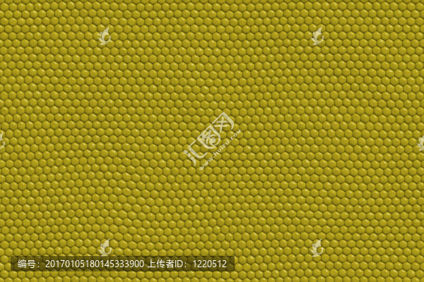 蜥蜴皮摘要
