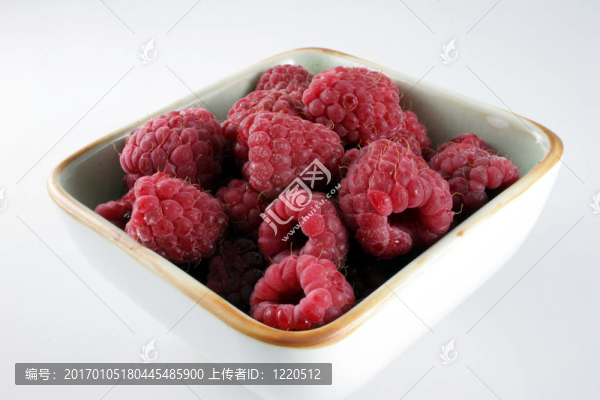 碗樹(shù)莓