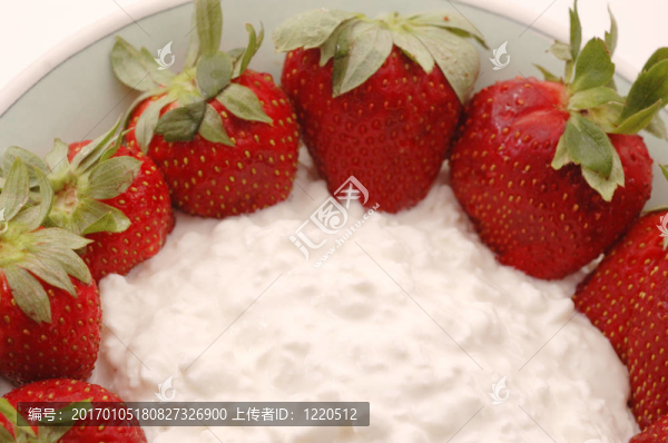 奶酪草莓