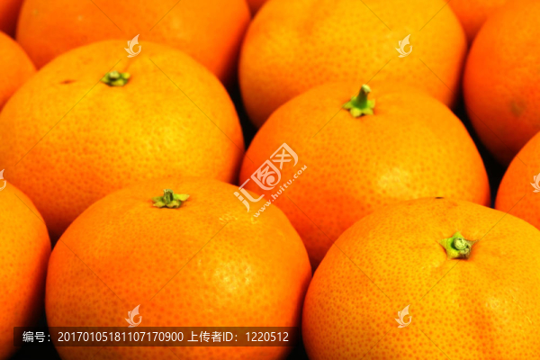 橘子