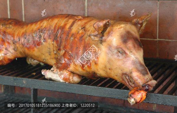 烤豬