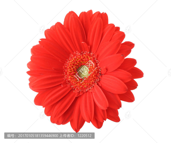 孤立的紅太陽