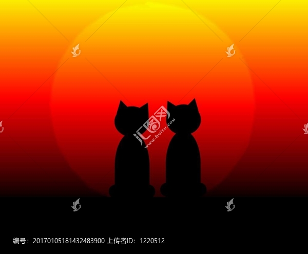 日落的貓