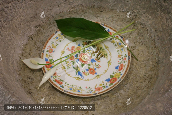 弗洛勒爾板塊