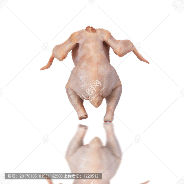 雞肉中分離