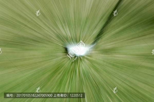 和Ball高爾夫俱樂部
