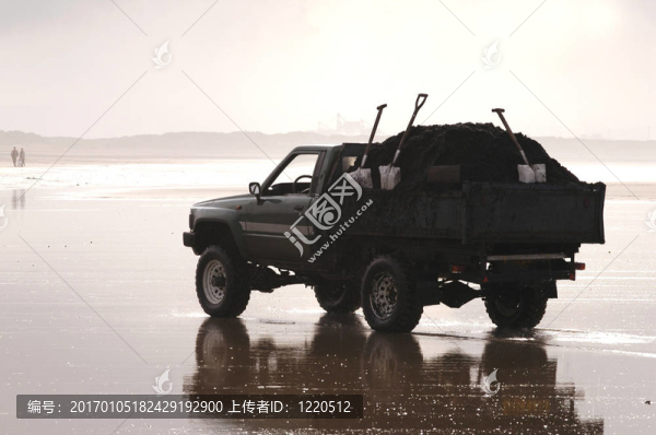 海灘清潔