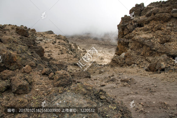 乞力馬扎羅山022,karango營