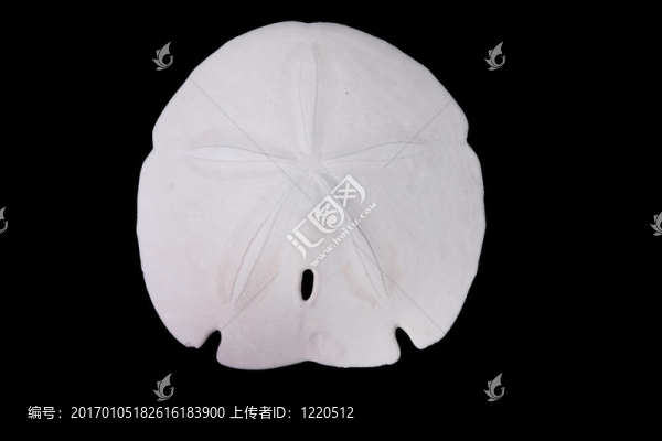 沙錢分離