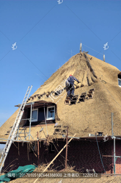 屋頂thatching1