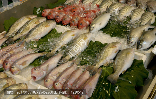 市場中的魚
