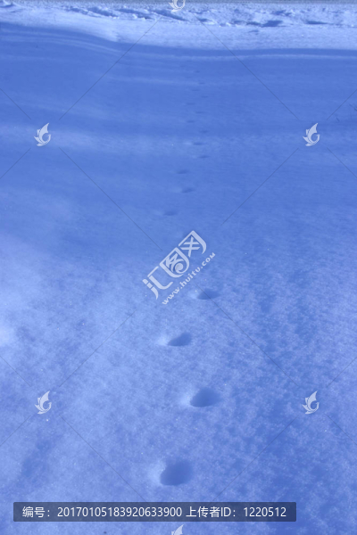 爪印