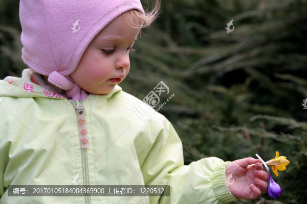 春天的嬰兒