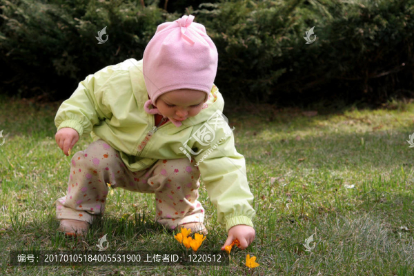 春天的嬰兒