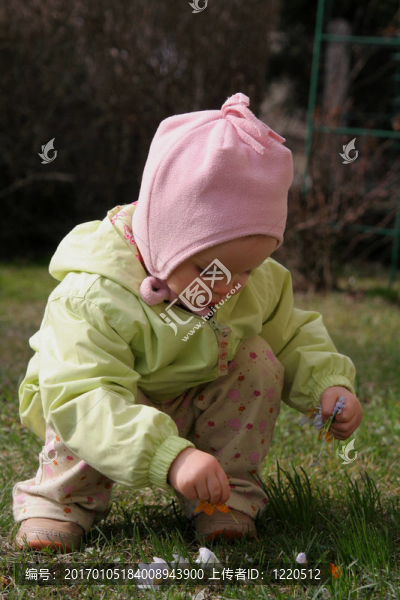 春天的嬰兒