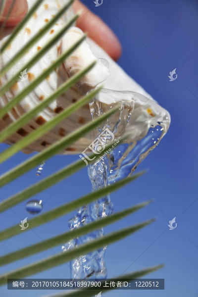 熱帶淡水