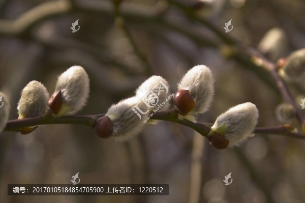 彈簧廠