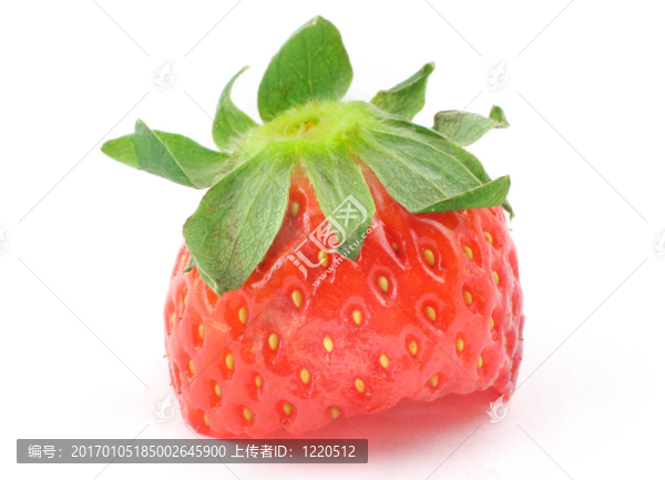 草莓咬