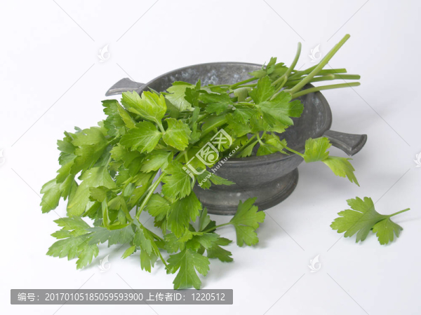 西芹