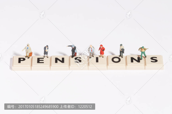 拼字游戲-養(yǎng)老