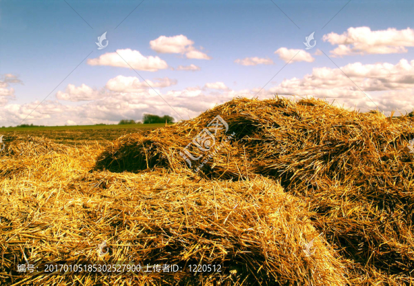 Hayricks。