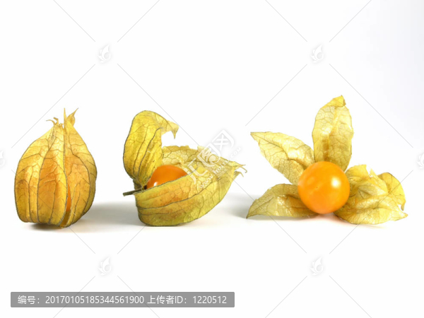 酸漿