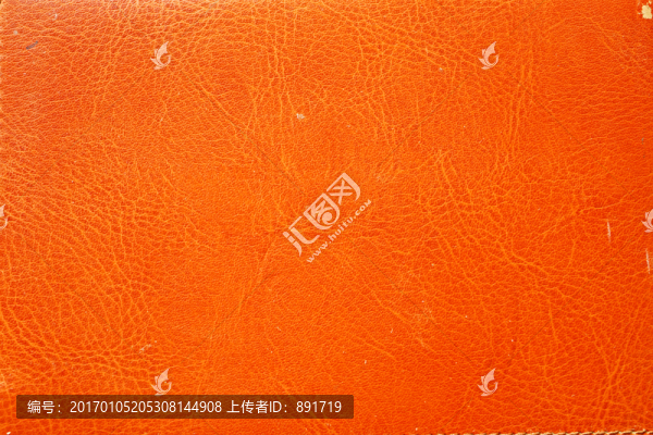 皮紋理,皮革