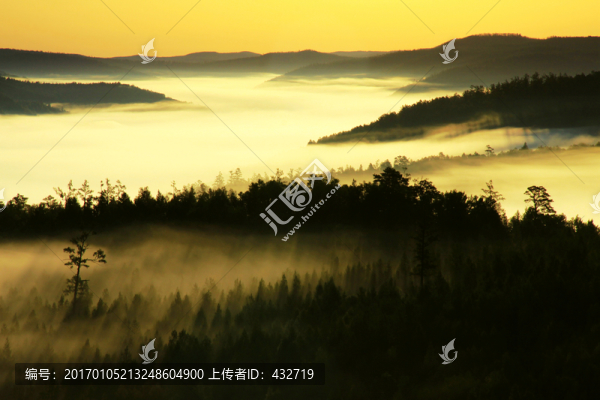 森林云海晨霧