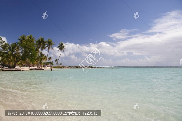潟湖熱帶
