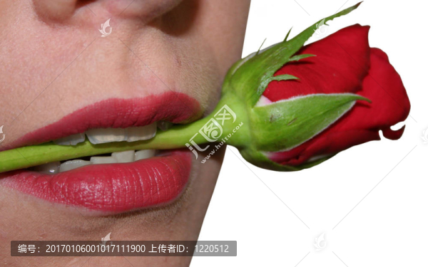 玫瑰莖上的女人