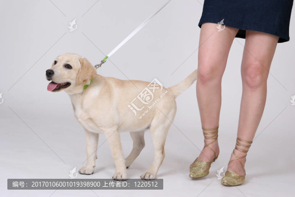 狗腳
