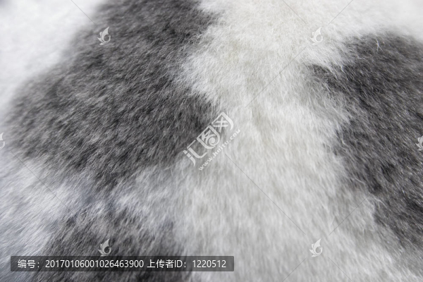 兔子的皮毛-匯圖網(wǎng) www.fosd68.com 兔子的皮毛