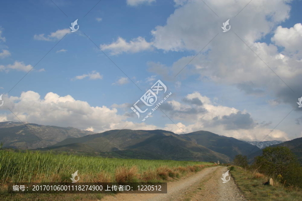 阿爾卑斯山脈在五月