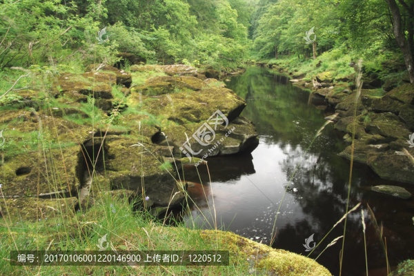 田園風(fēng)光