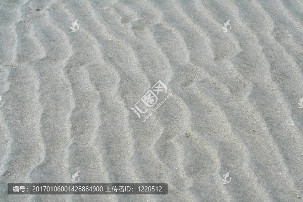 海濱灘涂