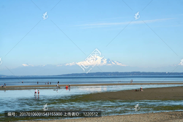 寧靜的海岸線