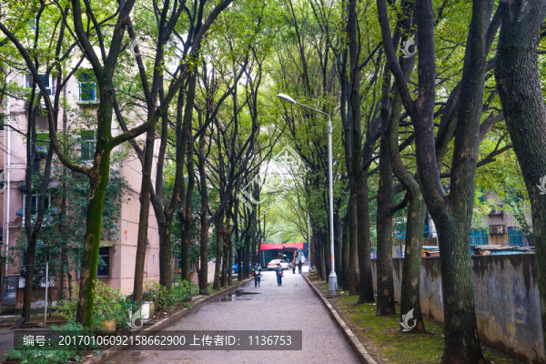 老小區(qū)