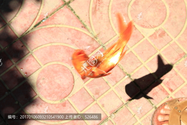釣魚