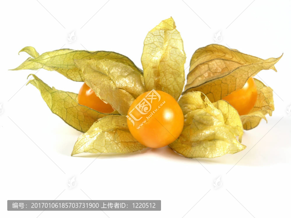 酸漿