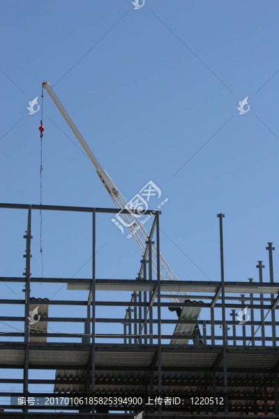 鋼和起重機(jī)