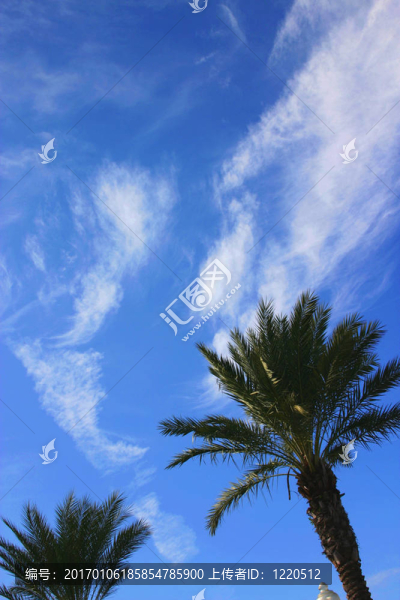 佛羅里達(dá)州的天空