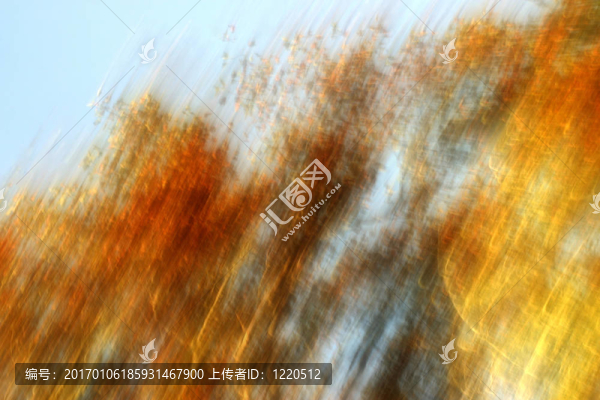 秋天的樹(shù)葉