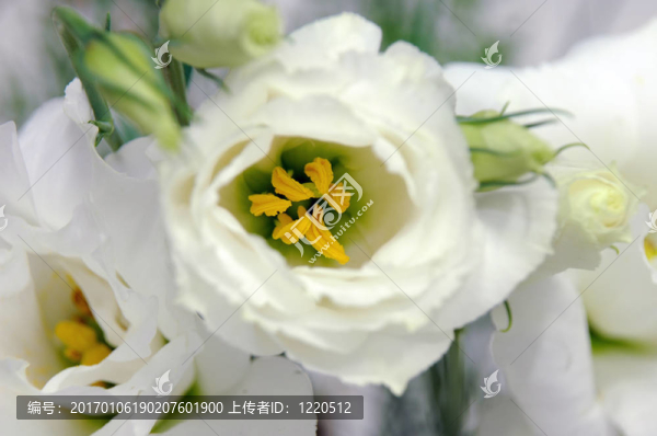 花