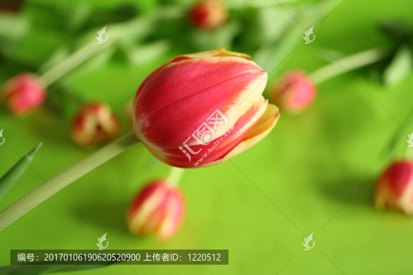 艷