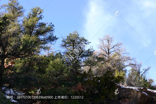 山脊線