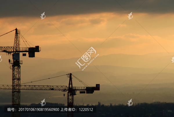 夕陽(yáng)中的鶴
